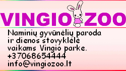 Vingio Zoo